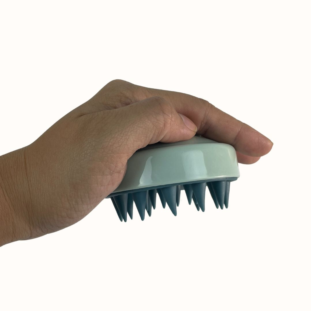 Hand holding a grooming brush with a white background